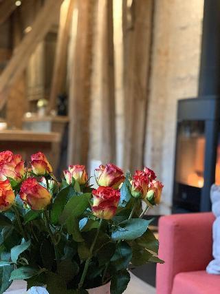 Гостиница Gamlebyen Hotell- Fredrikstad