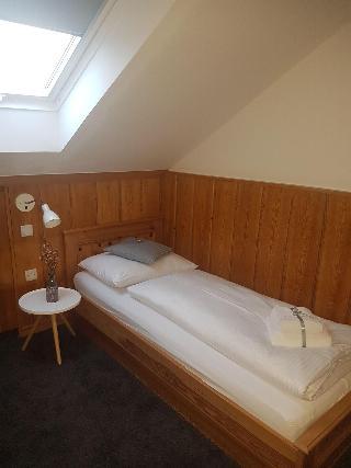 Гостиница Hotel Alter Wirth