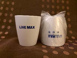Гостиница Livemax Yokohama Motomachi Ekimae