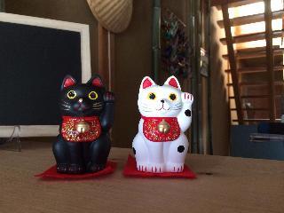 Hotel Takayama Ninja House