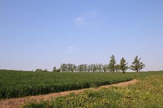 Гостиница Furano Shiyuirin