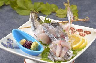 Hotel Kkr Numazu Hamayu