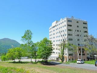 Гостиница T Hotel Ryuoo