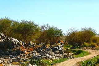 Гостиница Kato Dool Nubian House