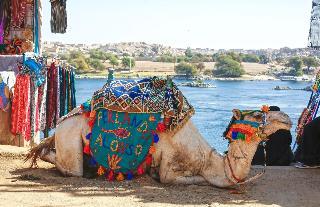 Гостиница Kato Dool Nubian House