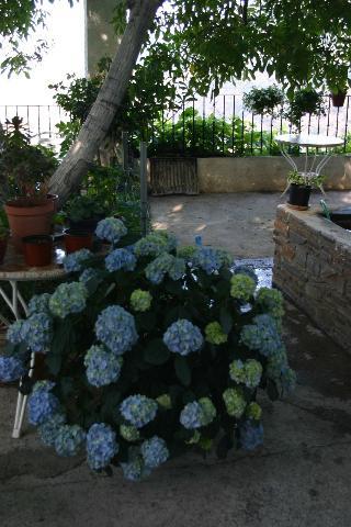 Гостиница Hostal Las Terrazas De La Alpujarra