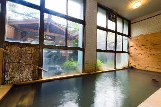 Гостиница Hirayu Prince Hotel