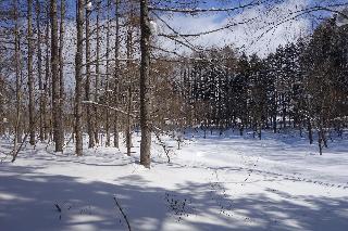 Гостиница Miru Niseko
