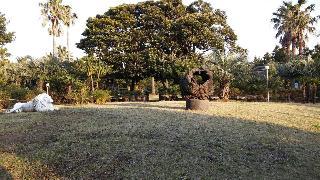 Гостиница Jeju Yazawon