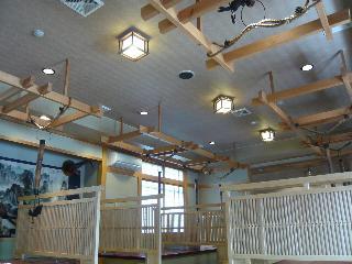 Гостиница Ryokan Hida Beef (Hida Gyu No Yado)