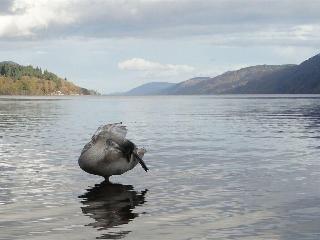 Hotel Binnilidh Mhor B&B