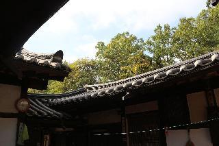 Hotel Chiam Gotaek