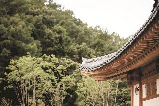 Гостиница Andong Gurume Resort