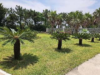 Гостиница Jeju Hada