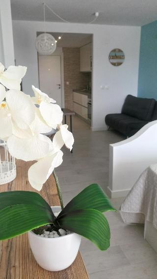 Hotel Estudio Ally