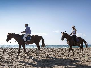 Гостиница Aldemar Royal Olympian