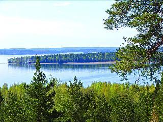 Гостиница Hotelli Tallukka