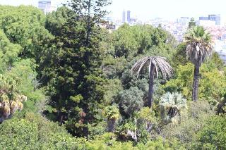 Гостиница Botanic Views Guest House