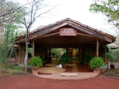 Гостиница Kirurumu Manyara Lodge