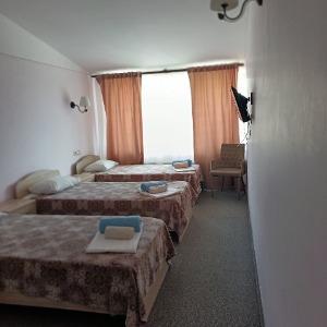 Hotel Bashnya