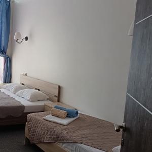 Hotel Bashnya