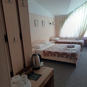 Hotel Bashnya