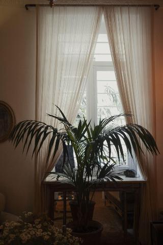 Гостиница Shila Athens