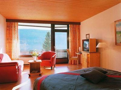 Гостиница Seehotel Wiesler