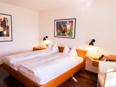Гостиница Hotel Schatzmann