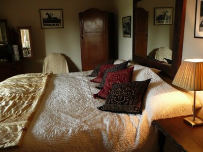 Hotel Vine