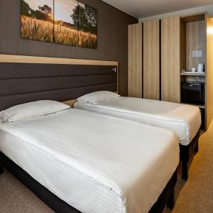 Hotel AMAKS Resort Novaya Istra