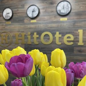 Hotel Hitotel