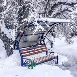 Гостиница Горная Роза