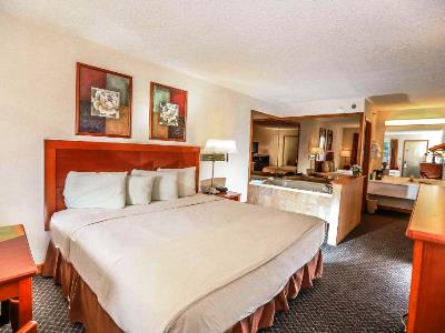 Гостиница Super 8 Branson / Shepherd Of Hills Exwy