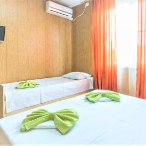 Hotel Melnica