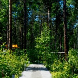 Гостиница Сосны Загородный Отель
