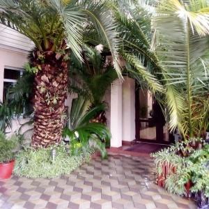 Гостиница Три Пальмы