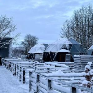 Hotel Arctic Lights Residence