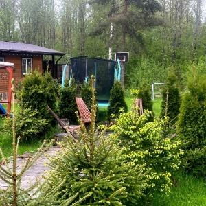Hotel Rai v Shalashe v Svetlom
