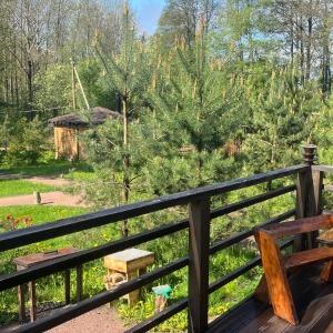 Hotel Rai v Shalashe v Svetlom