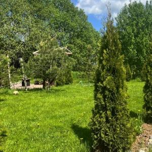 База Отдыха Рай в Шалаше в Коробицыно