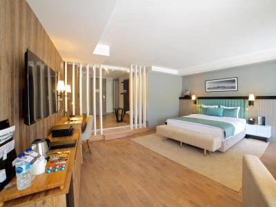 Hotel Istanbul New Airpot,trademark Collection