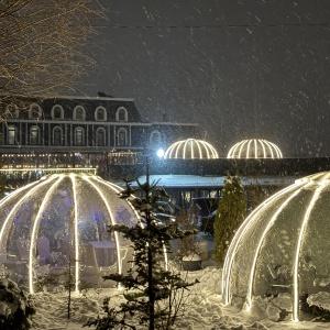 Salaryevo Salut Hotel and SPA