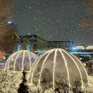 Salaryevo Salut Hotel and SPA