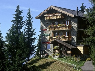 Hotel Waldhaus