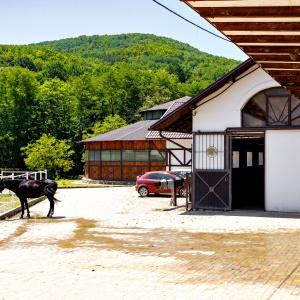 Orlinoe Gnezdo Park-Hotel