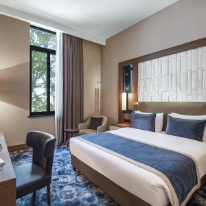 Hotel Tbilisi Philharmonic by Mercure