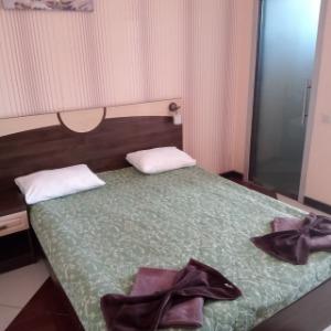 Hotel Gosteev na Priboye