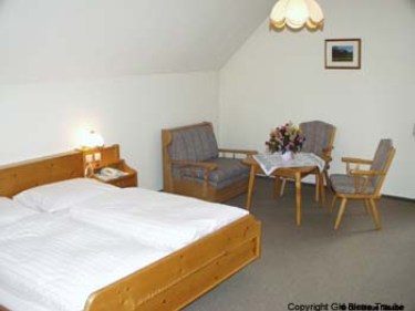 Hotel Gasthof Blaue Traube