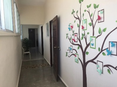 Гостиница Hostal Arboleda